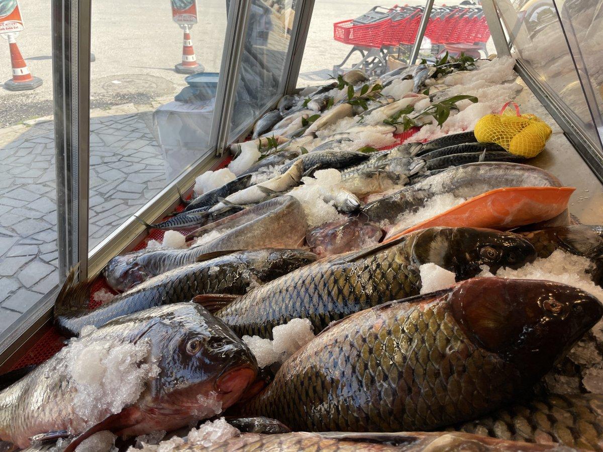 Av mevsiminin ilk haftasında hamsi bereketi