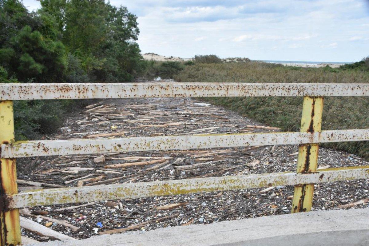 Sinop'ta Sarıkum Gölü'nde biriken tomruklar, doğal hayatı risk altında bıraktı