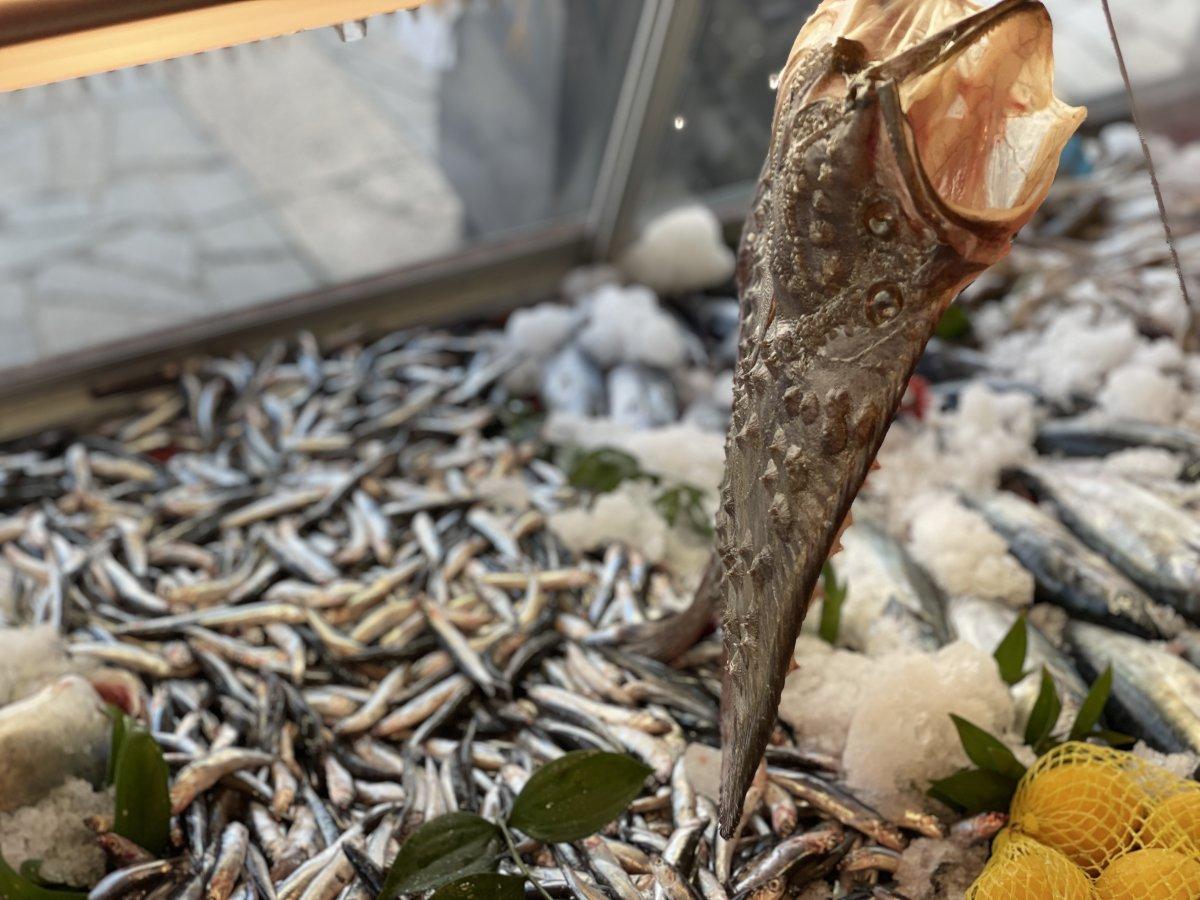 Av mevsiminin ilk haftasında hamsi bereketi