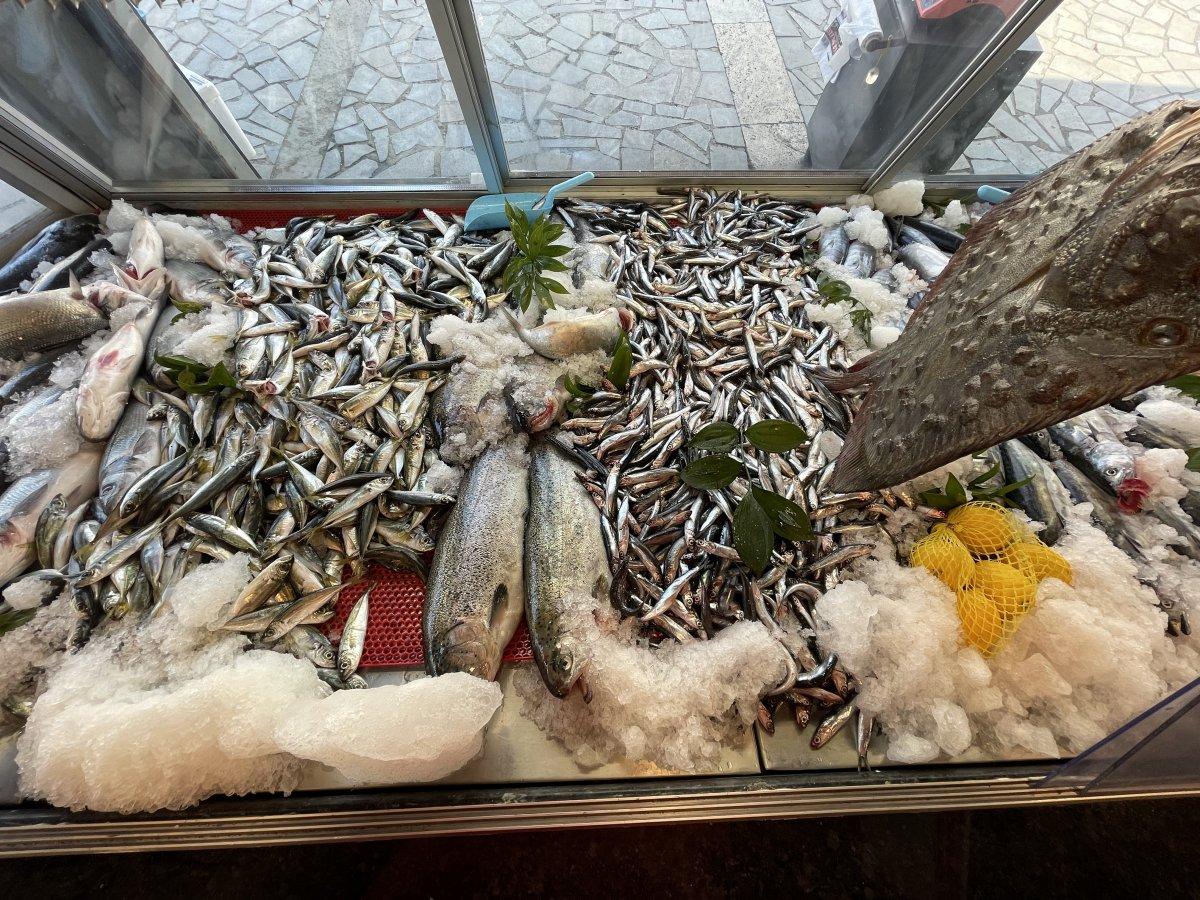 Av mevsiminin ilk haftasında hamsi bereketi