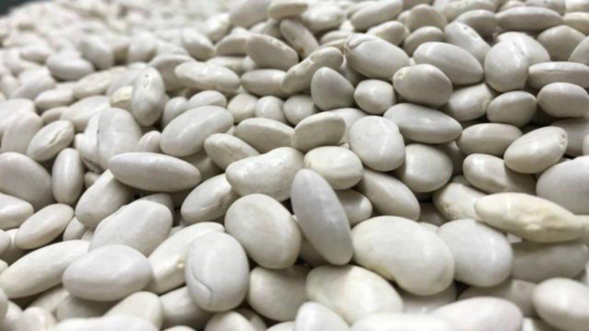 Et kadar protein içeren 10 bitkisel gıda