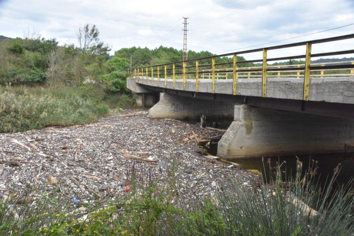 Sinop'ta Sarıkum Gölü'nde biriken tomruklar, doğal hayatı risk altında bıraktı