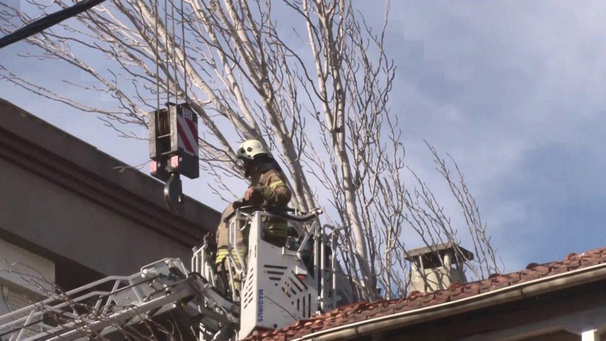 Maltepe’de evin çatısına ağaç düştü