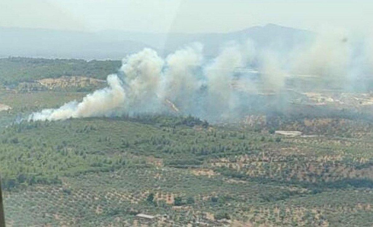 İzmir'de makilik yangınları