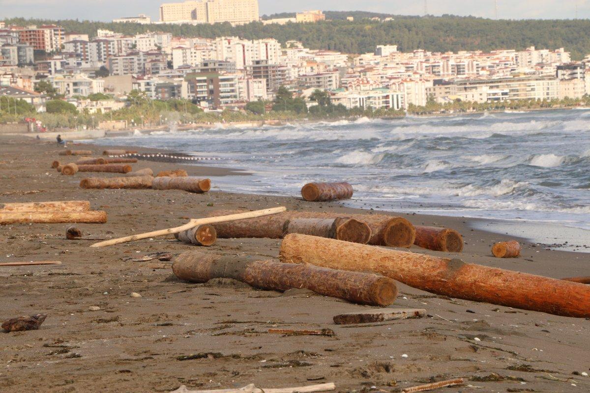 Ayancık'ta selin sürüklediği tomruklar, Samsun sahiline vuruyor
