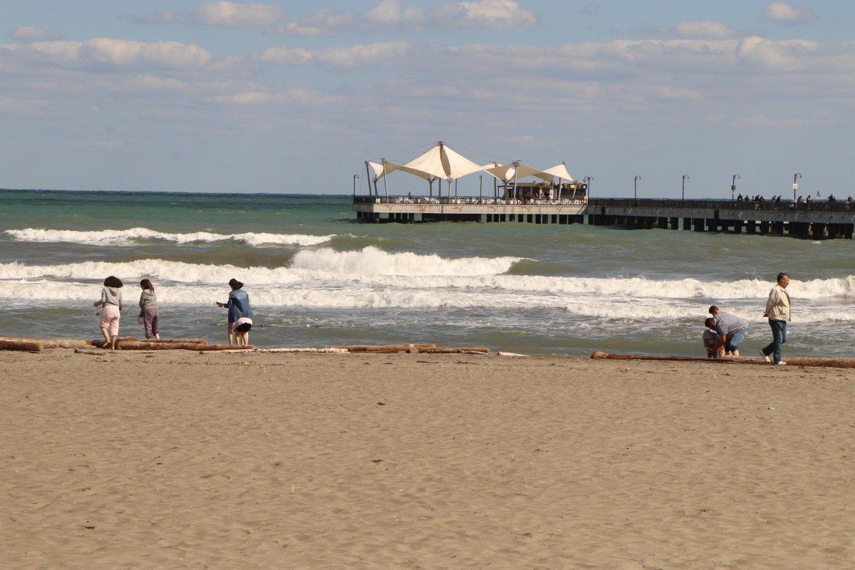Ayancık'ta selin sürüklediği tomruklar, Samsun sahiline vuruyor