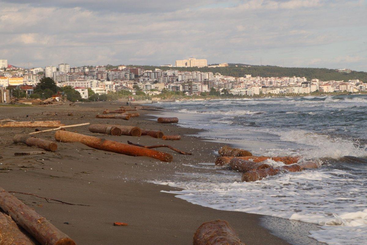 Ayancık'ta selin sürüklediği tomruklar, Samsun sahiline vuruyor