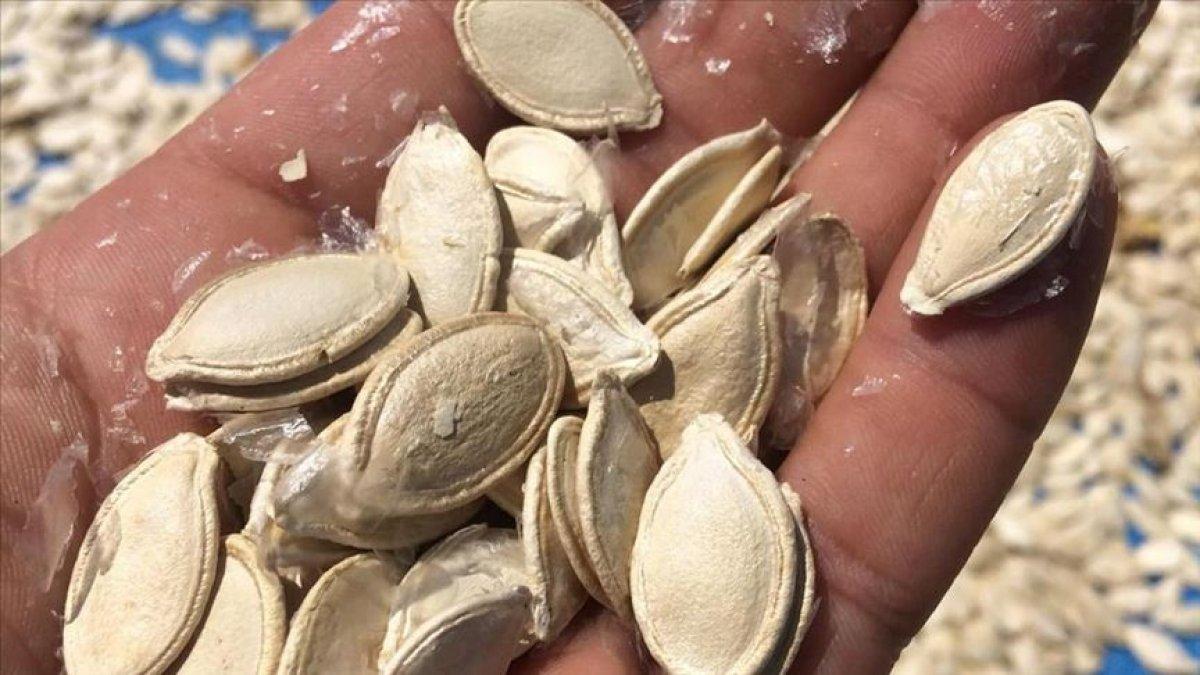 Et kadar protein içeren 10 bitkisel gıda