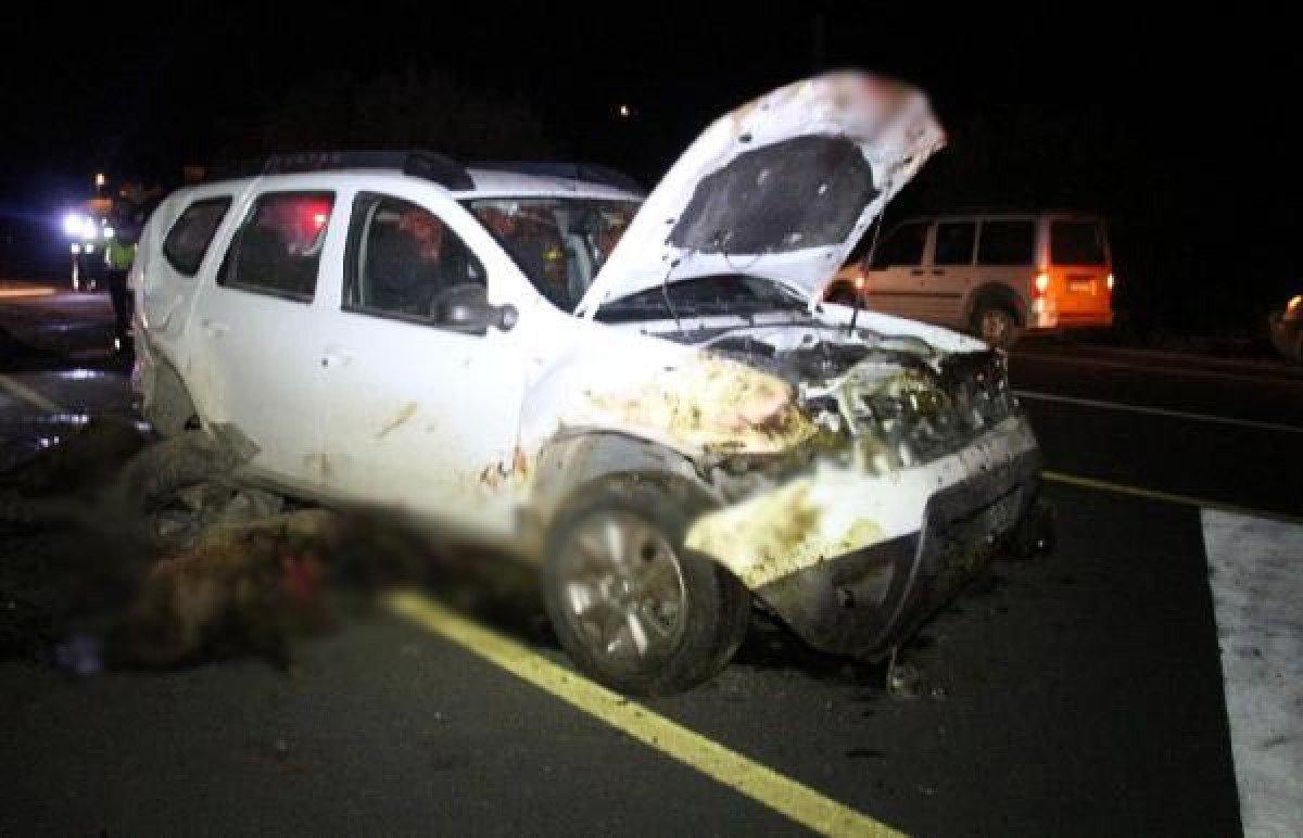 Erzurum'da iki araç koyun sürüsüne daldı: 40 koyun telef oldu