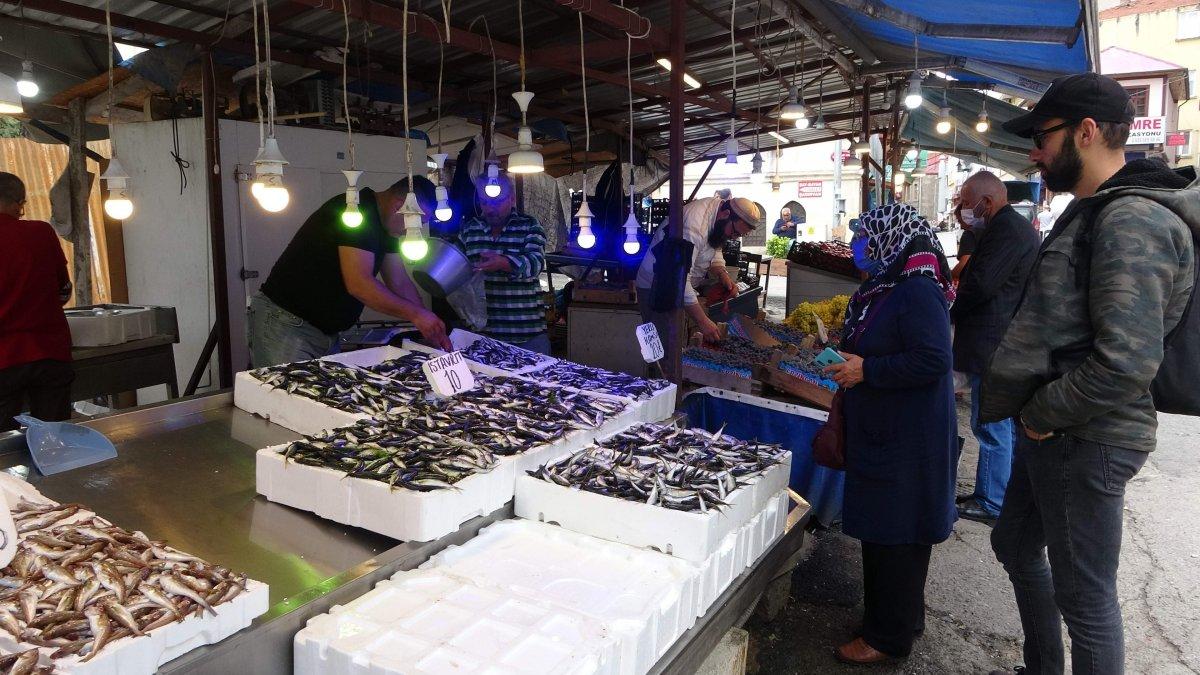 Karadeniz'de istavrit bolluğu yaşanıyor