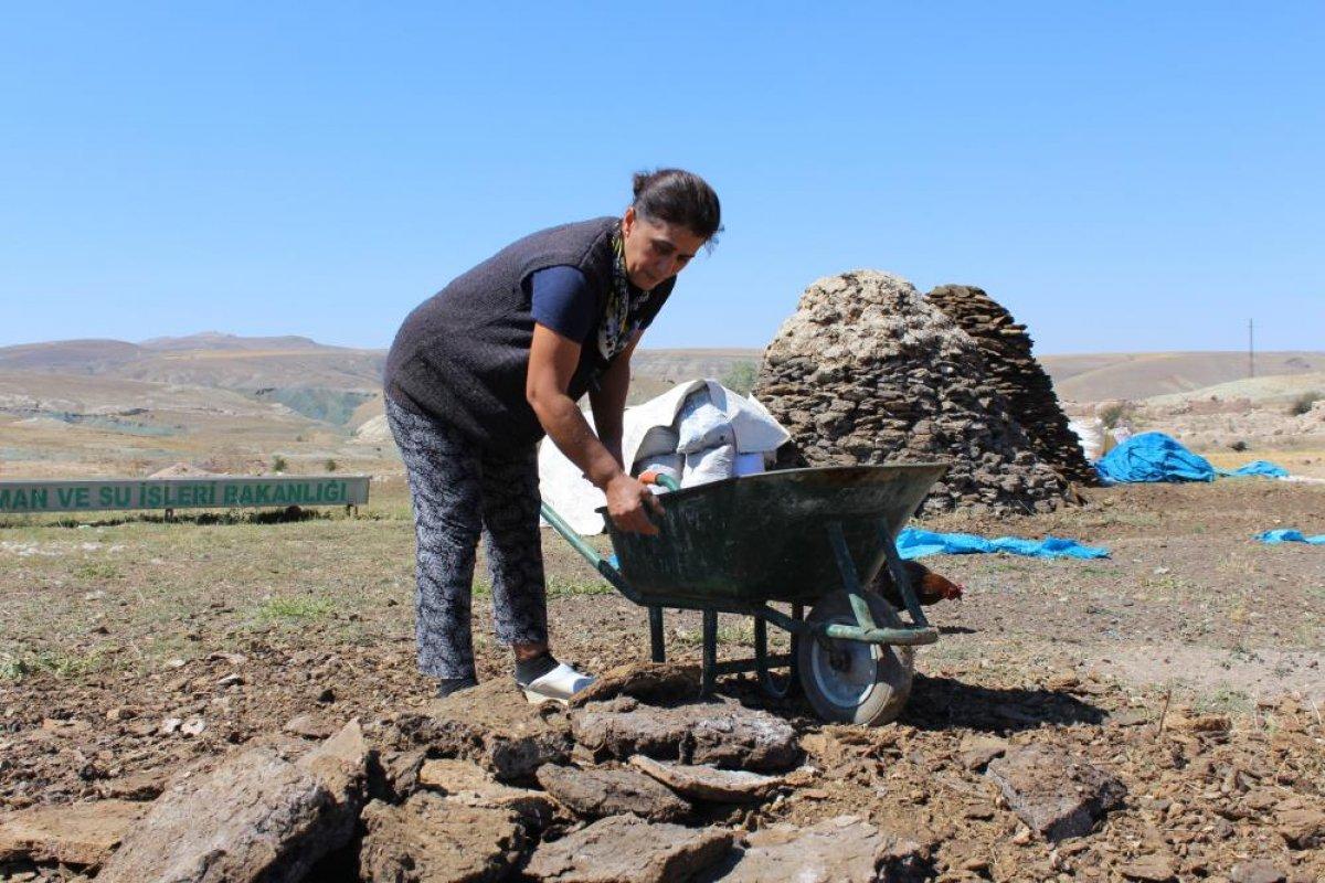Sivas'ta kış için tezek hazırlığına başlandı