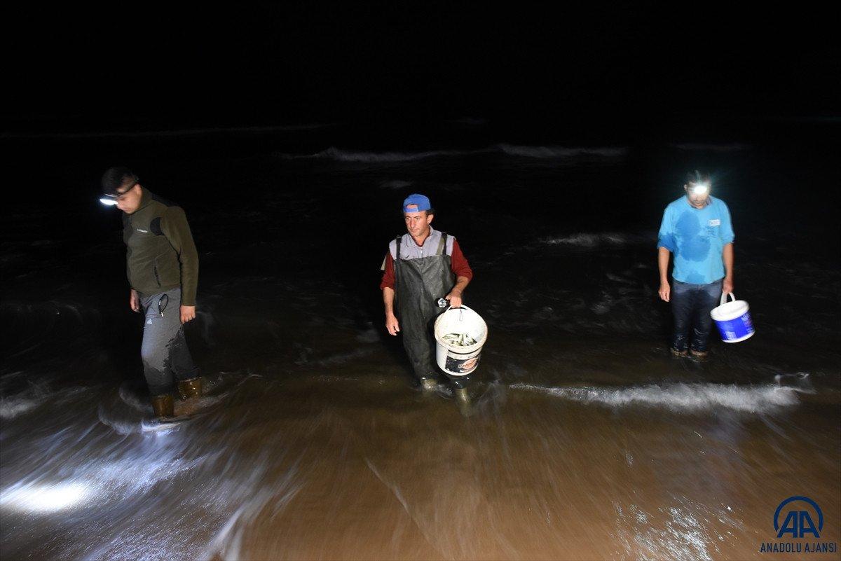 Bartın'da tonlarca balık kıyıya vurdu
