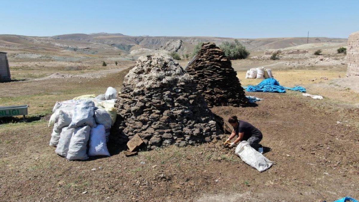Sivas'ta kış için tezek hazırlığına başlandı