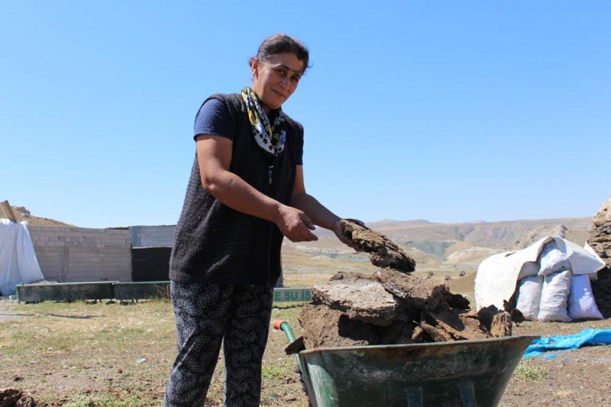 Sivas'ta kış için tezek hazırlığına başlandı