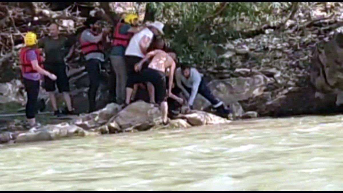 Hakkari'deki Zap Suyu'na kapılan ayı kurtarıldı