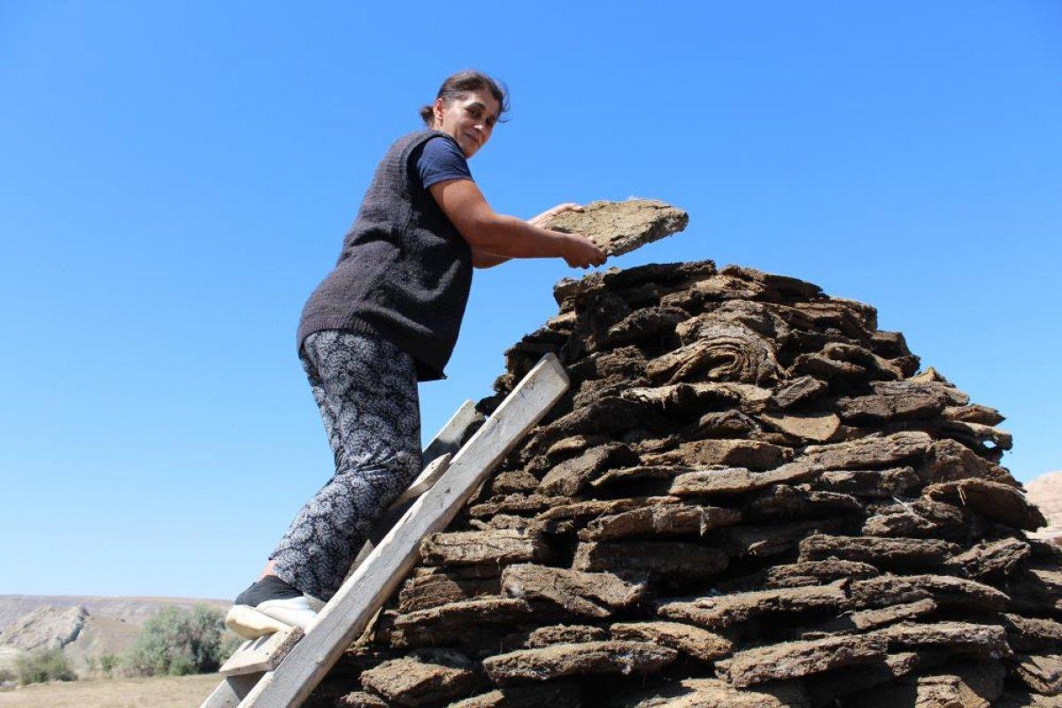 Sivas'ta kış için tezek hazırlığına başlandı