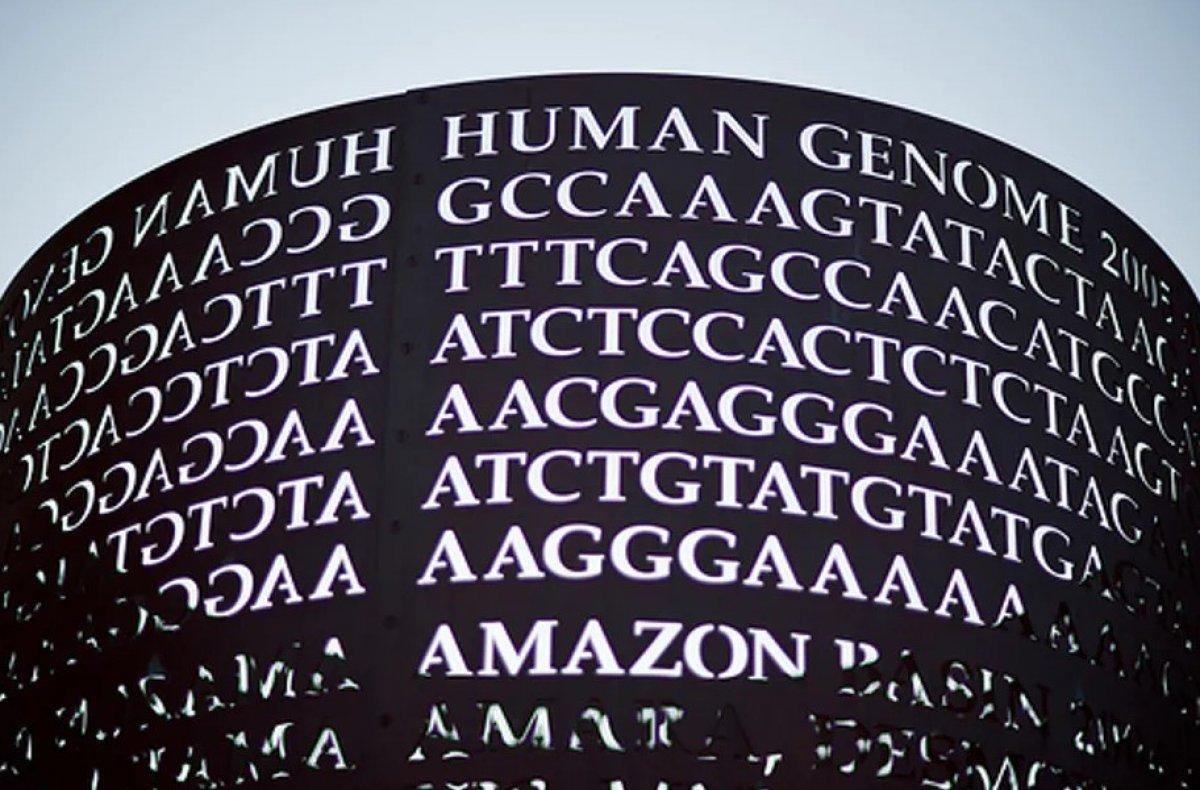 Türk toplumunun genetik yapısı analiz edildi