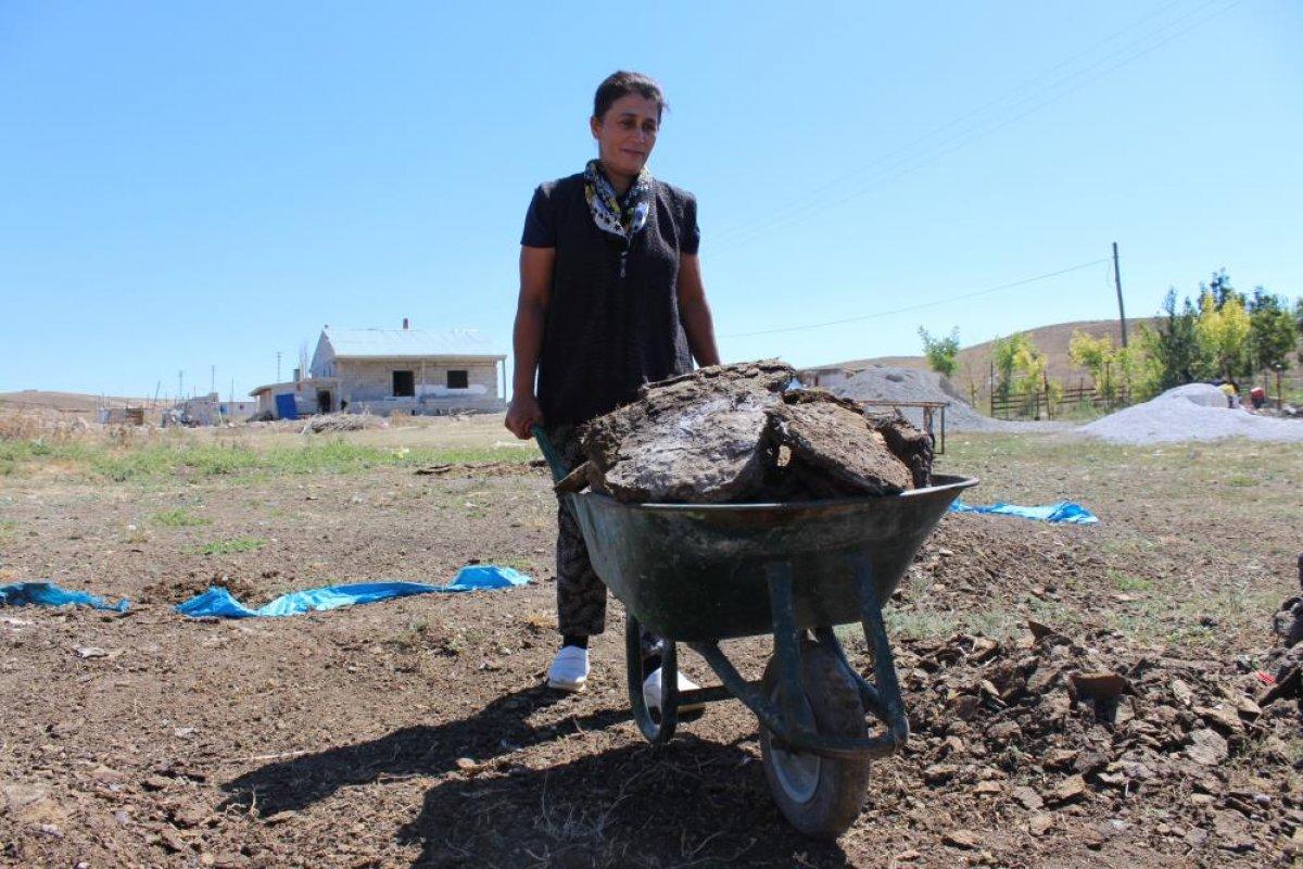 Sivas'ta kış için tezek hazırlığına başlandı