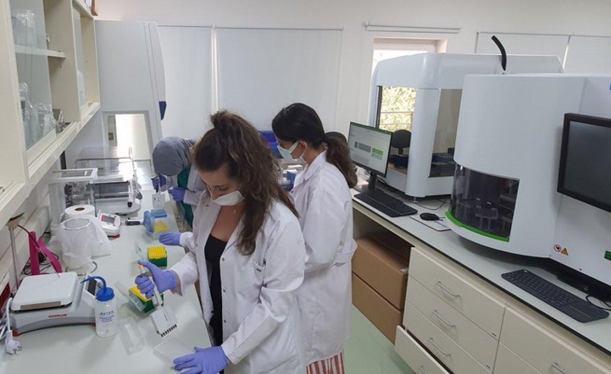 Türk toplumunun genetik yapısı analiz edildi