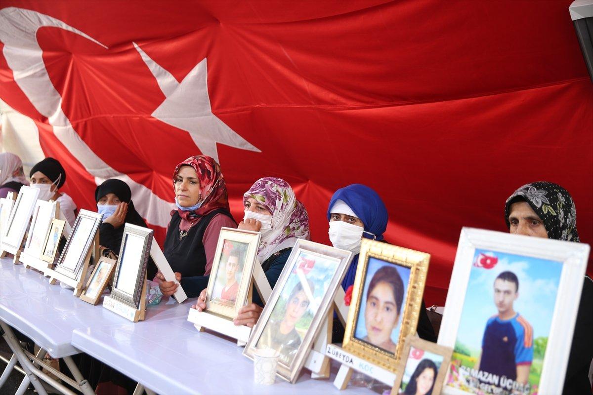 Diyarbakır annesi: Oğlumu onlar için doğurmadım