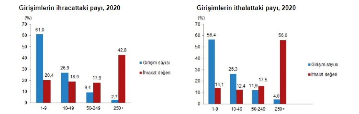 Girişimlerin dış ticaretteki payı