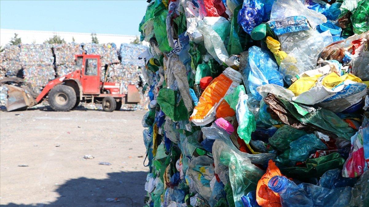 Plastik atıklara karşı doğa dostu bakteri geliştiriliyor