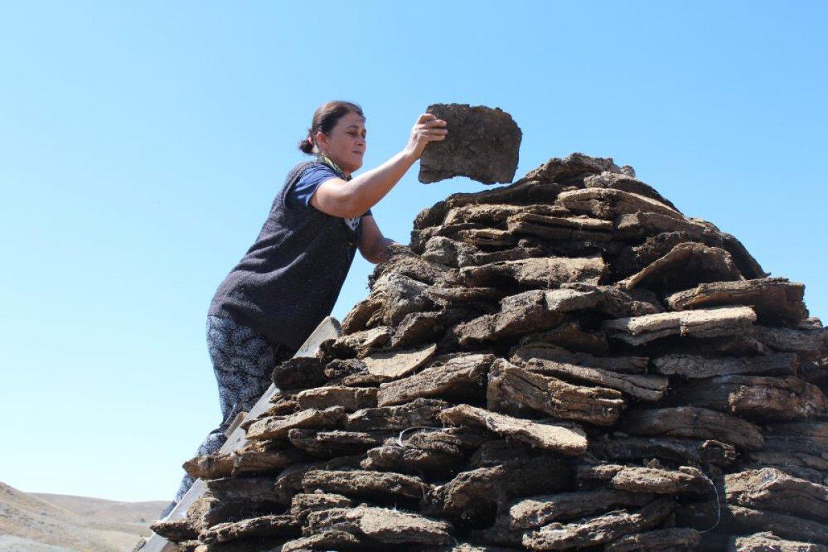 Sivas'ta kış için tezek hazırlığına başlandı