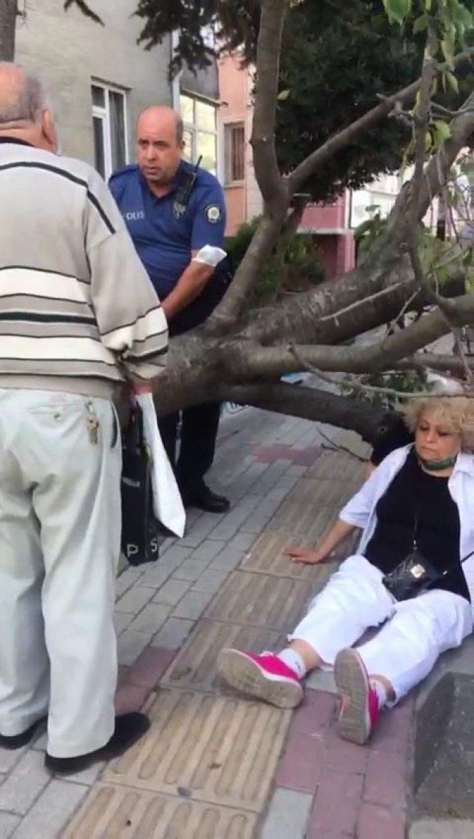 Bakırköy'de ağaç devrildi: Yaşlı kadın yaralandı