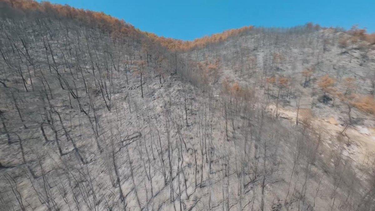 Muğla'daki yangının yarış drone'u ile çekilen görüntüleri ortaya çıktı