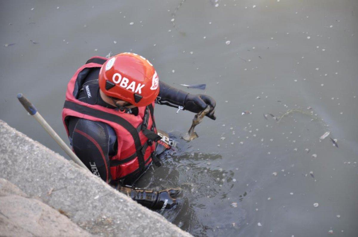 Eskişehir'de 3 kişiyi arama çalışmalarında 6 kemiğe rastlandı