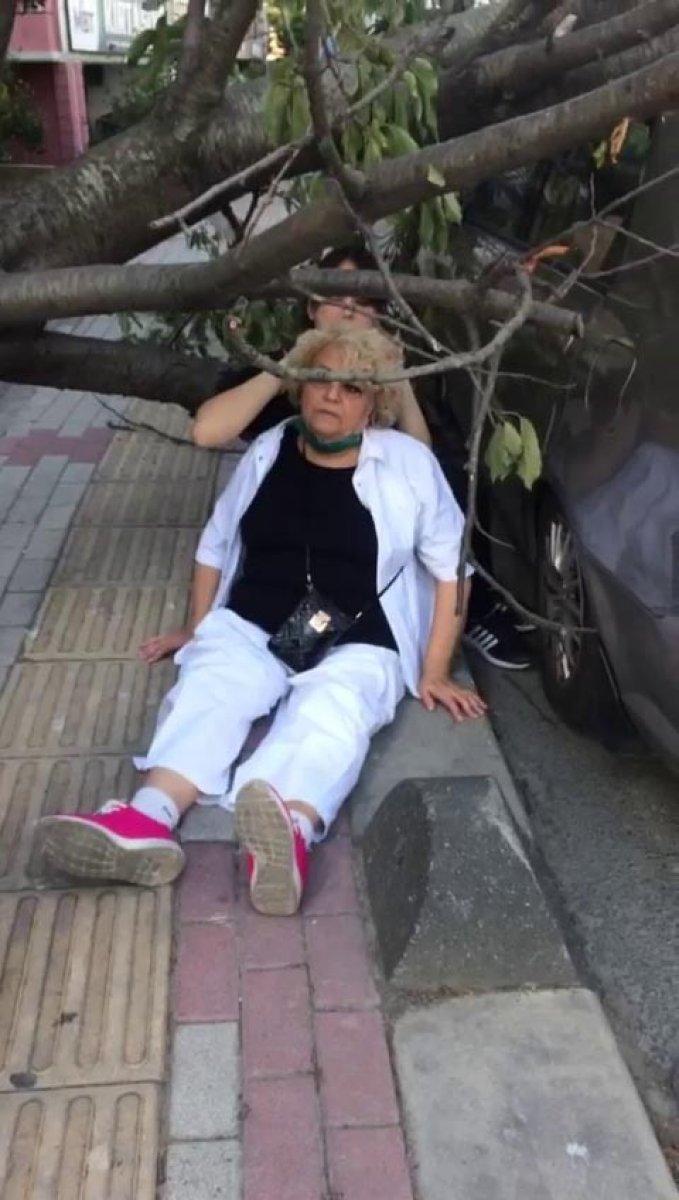 Bakırköy'de ağaç devrildi: Yaşlı kadın yaralandı