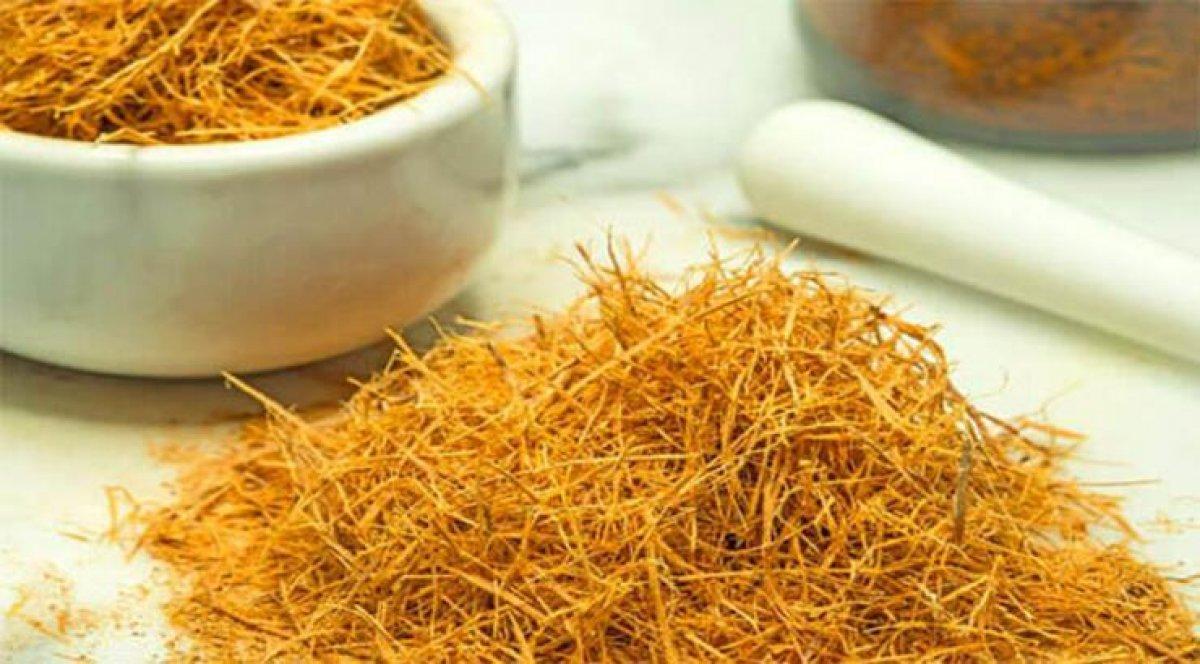 Bağışıklığı güçlendiren 10 bitki çayı