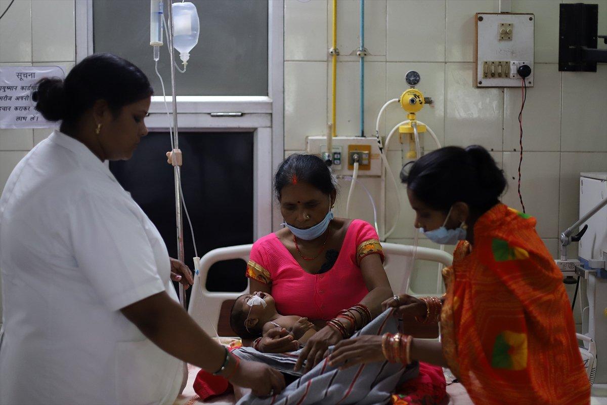 Hindistan'da dang humması vakalarında artış