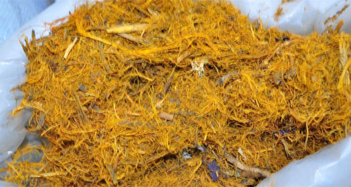 Bağışıklığı güçlendiren 10 bitki çayı