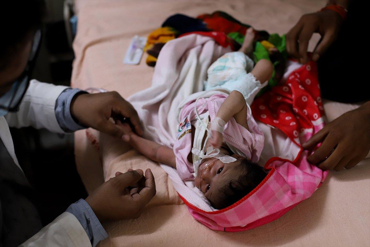 Hindistan'da dang humması vakalarında artış