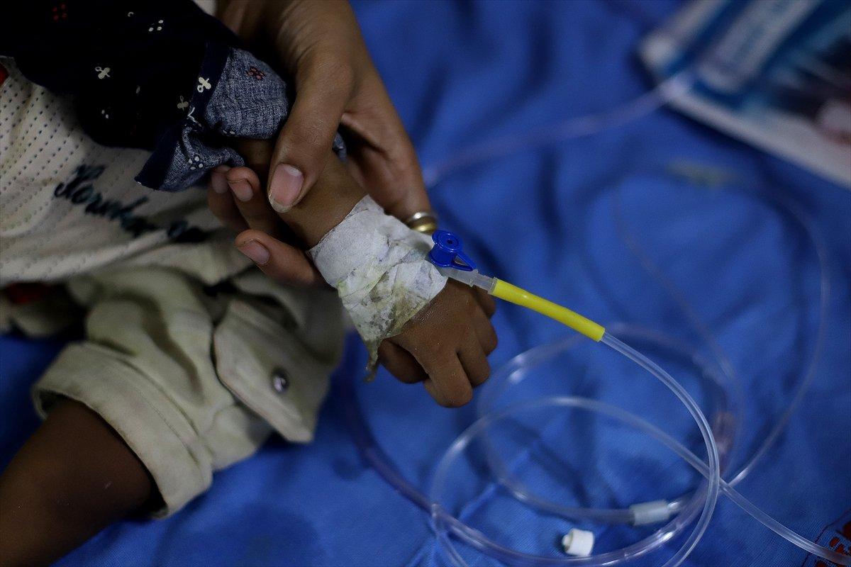 Hindistan'da dang humması vakalarında artış