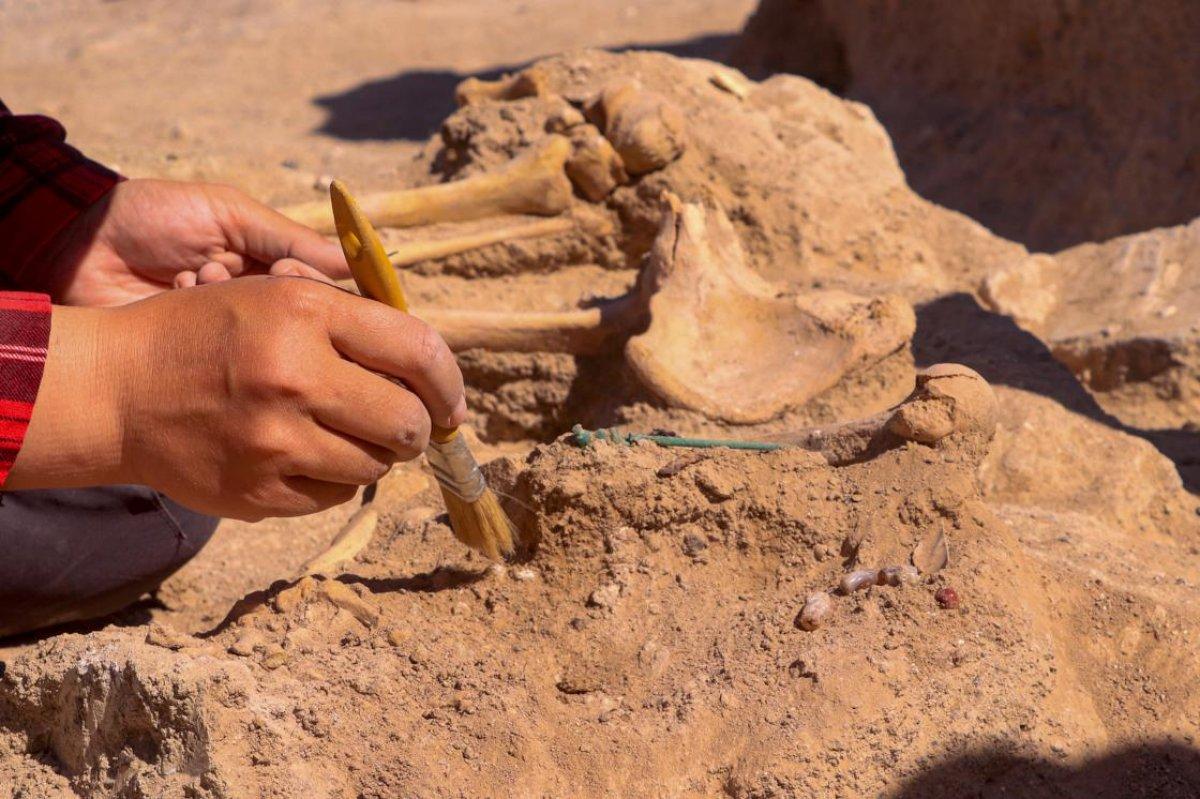 Van'da Urartular döneminde yaşamış bir kadın yöneticinin mezarı bulundu