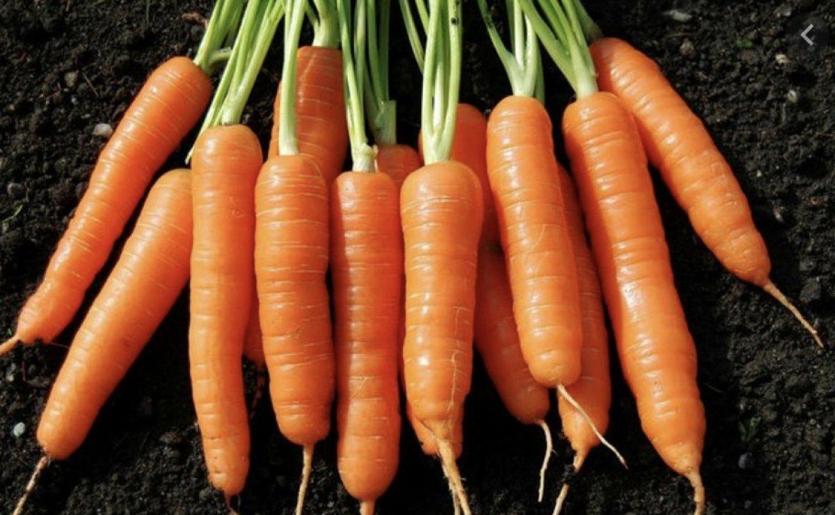 Alerjiye neden olan 8 sebze