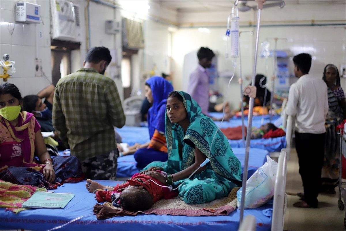 Hindistan'da dang humması vakalarında artış