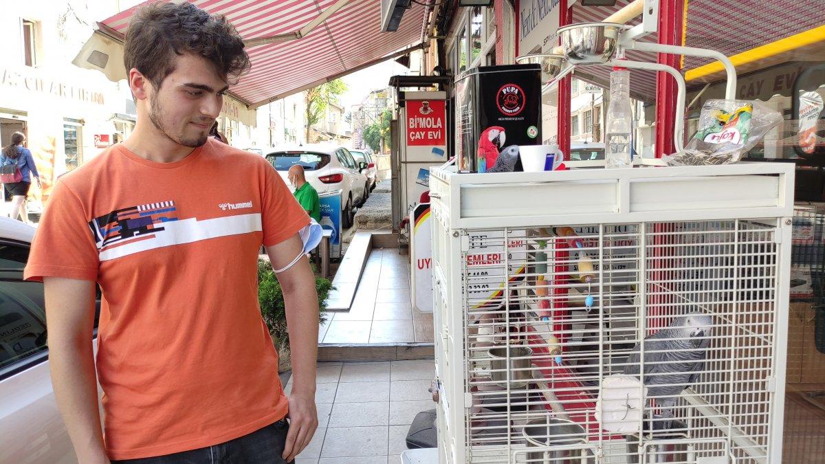 Bursa'daki şakacı papağan, yoldan geçenleri taklitle güldürüyor