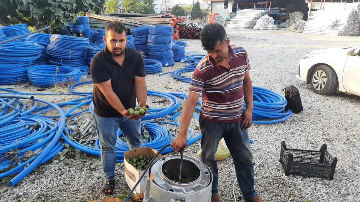 Osmaniye'de üç arkadaşın ilginç ceviz soyma makinesi