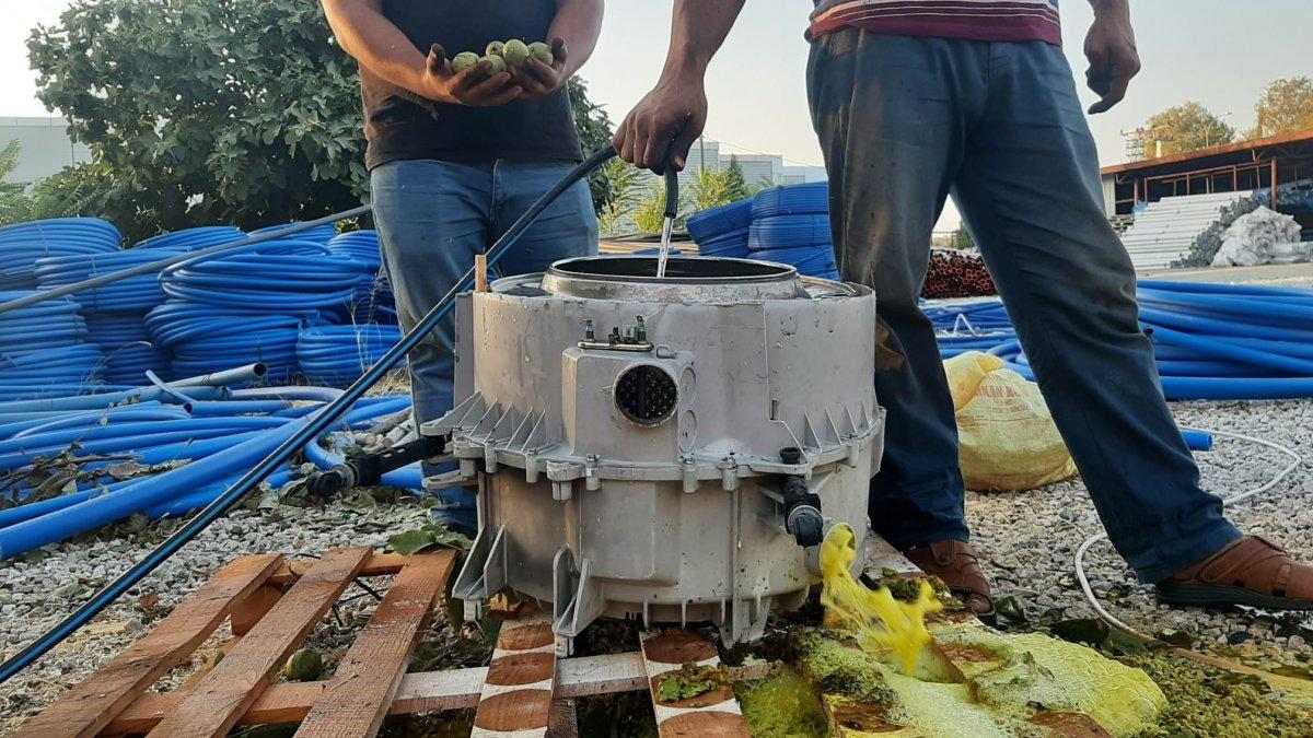 Osmaniye'de üç arkadaşın ilginç ceviz soyma makinesi