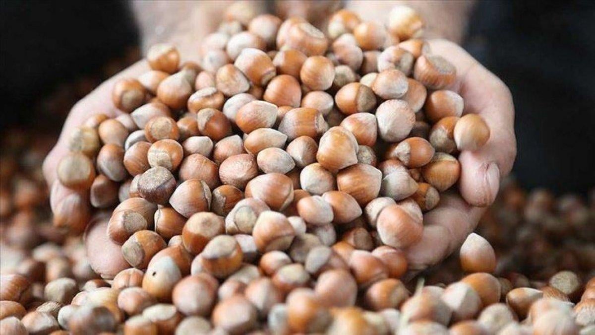 Fındık fiyatları 2021: İllere göre güncel fındık fiyatları