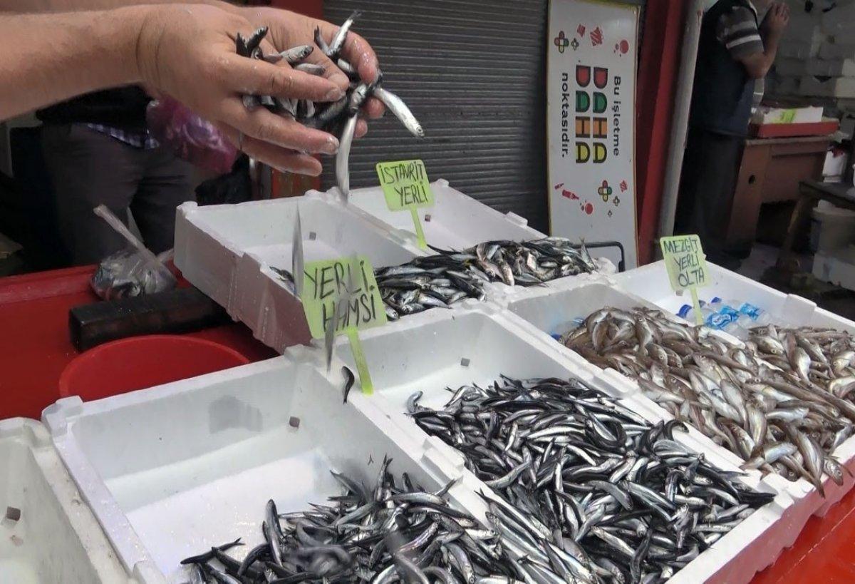 Giresun'da erken başlayan hamsi sezonunun bu yıl erken bitmesi bekleniyor