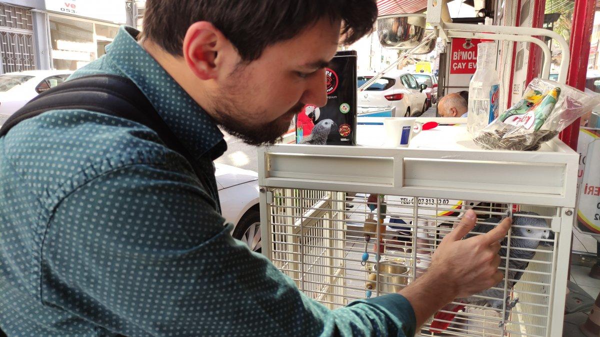 Bursa'daki şakacı papağan, yoldan geçenleri taklitle güldürüyor