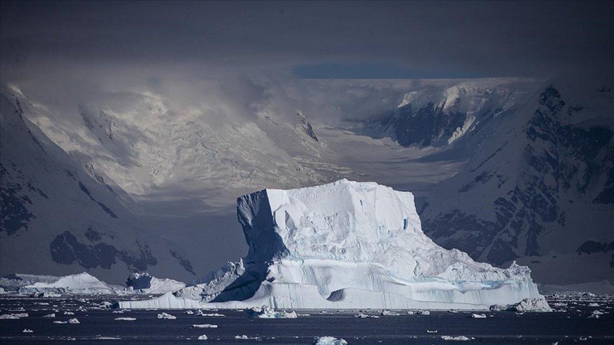 Türkiye'den Antarktika'ya omurgasız hayvanları inceleme seferi