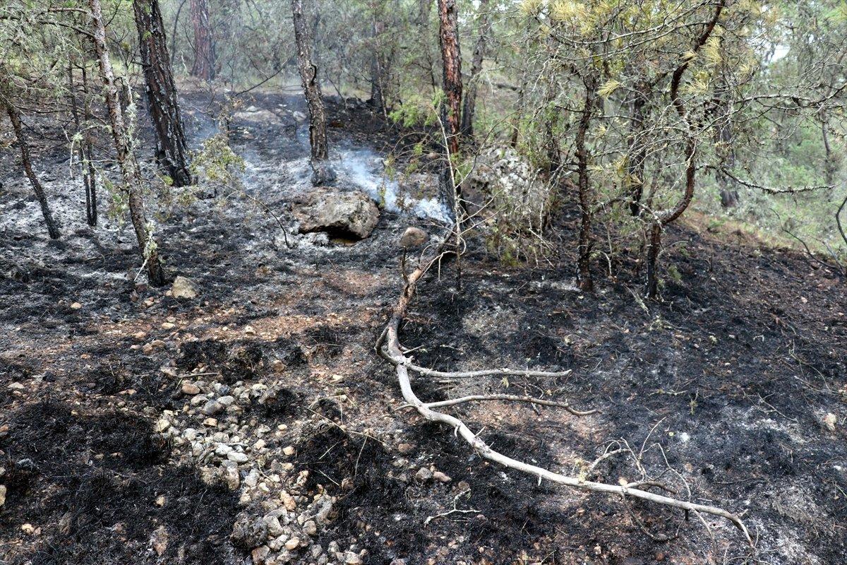 Karabük'te çıkan orman yangını kontrol altında