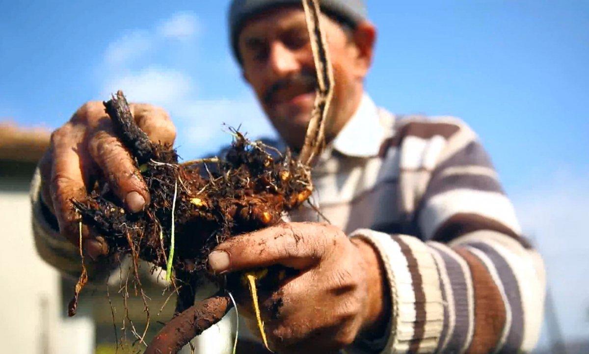 Yağcıbedir halıları kıyafete uyarlanıyor
