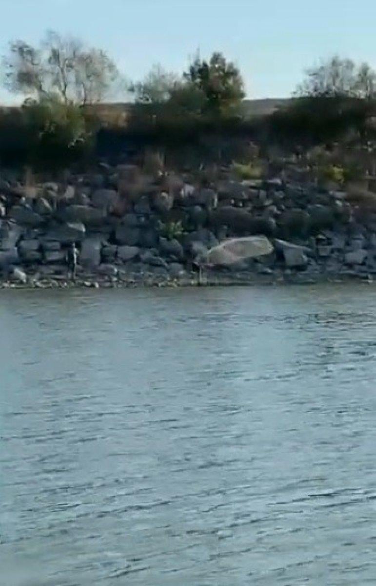 İstanbul'da yasağı dinlemediler, Sazlıbosna Barajı’nda ağ ile balık tuttular