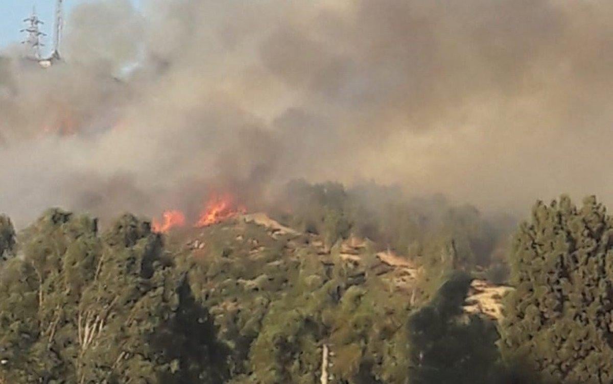 İzmir'de ormanlık alanda çıkan yangın kontrol altında